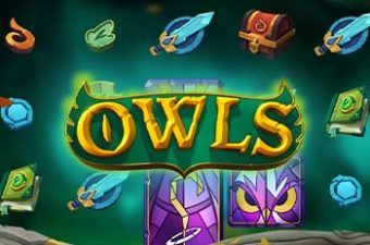 Owls